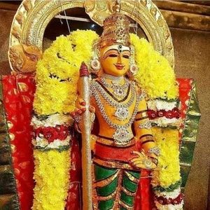 Meet your Posher, Rajkumar